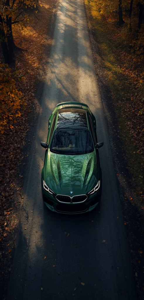 BMW in British Racing Green auf einer ruhigen Waldstraße im Herbst, aufgenommen aus der Vogelperspektive mit goldenen Blättern und warmem Sonnenlicht – perfektes Handy-Hintergrundbild.