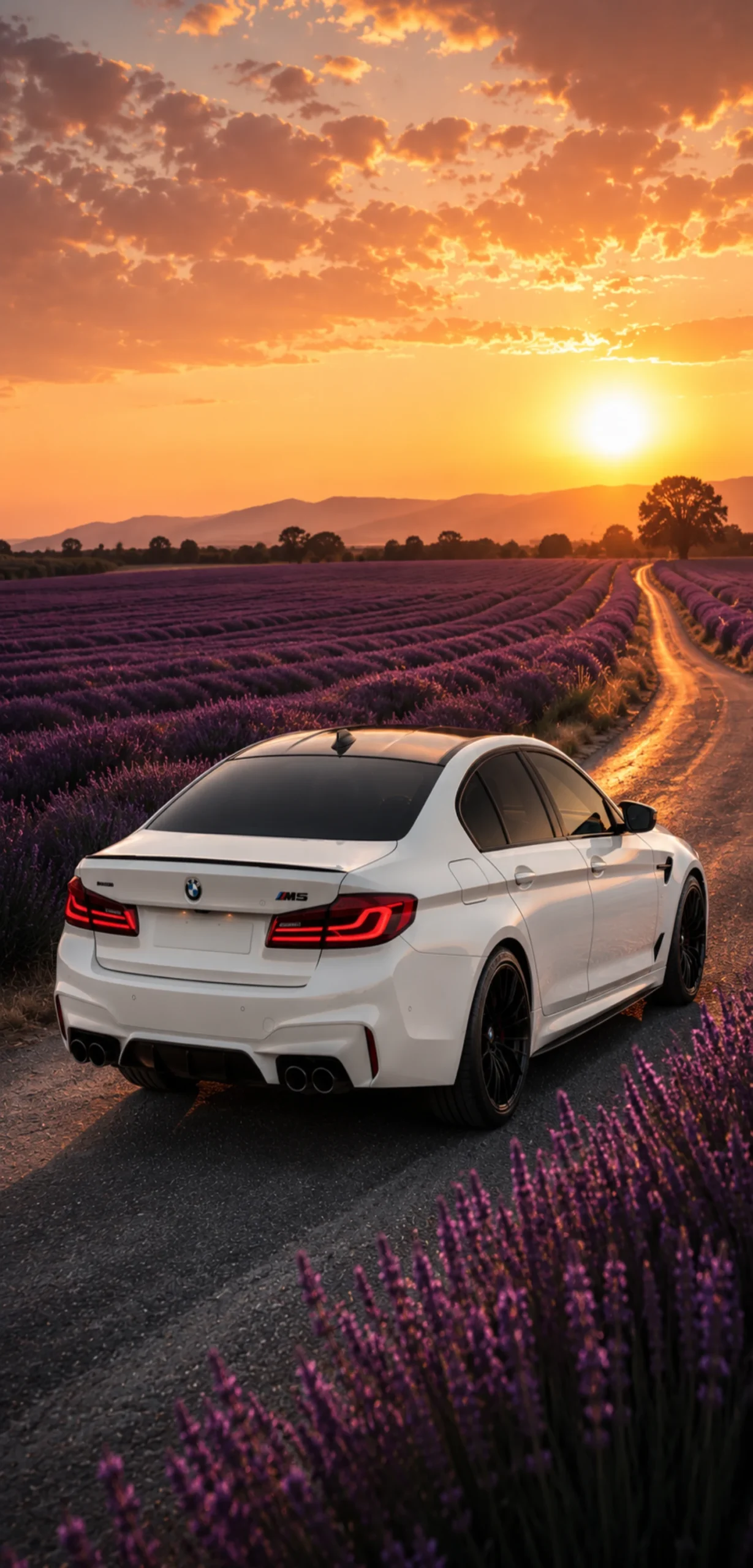 Weiße BMW M5 Limousine bei Sonnenuntergang auf einer Straße durch ein blühendes Lavendelfeld im Hochformat.